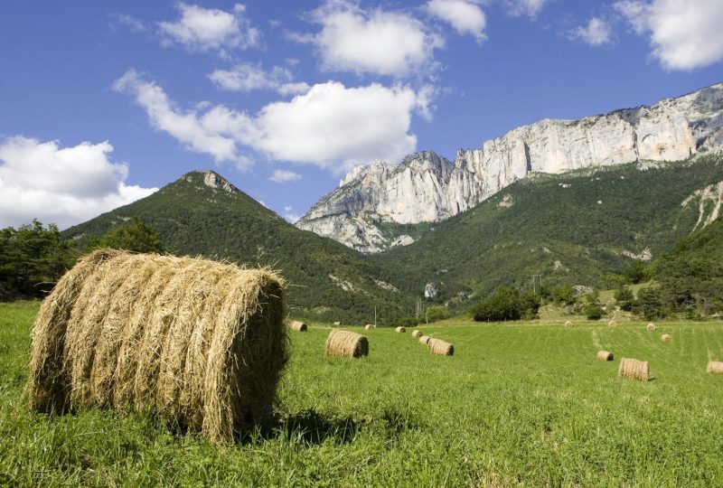 Sur les pas des Huguenots, de Die aux Nonières à Die - 2