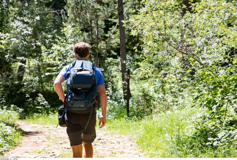 GR® de Pays: Around the Ventoux Massif – Circular hike to the summit of Mont Ventoux à Sault - 3