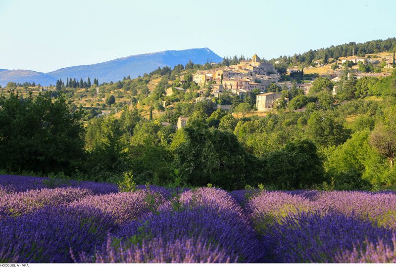 GR® de Pays: Around the Ventoux Massif – Circular hike to the summit of Mont Ventoux à Sault - 0