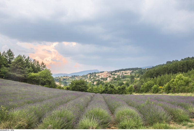 GR® de Pays: Around the Ventoux Massif – Circular hike in the foothills of Mont Ventoux à Malaucène - 0