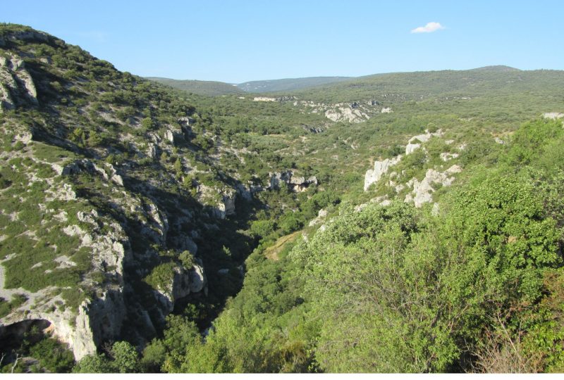 GR® de Pays: Around the Ventoux Massif – Circular hike in the foothills of Mont Ventoux à Malaucène - 4