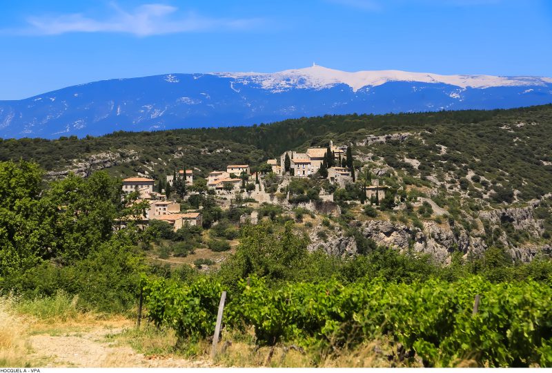 GR® de Pays: Around the Ventoux Massif – Circular hike in the foothills of Mont Ventoux à Malaucène - 5