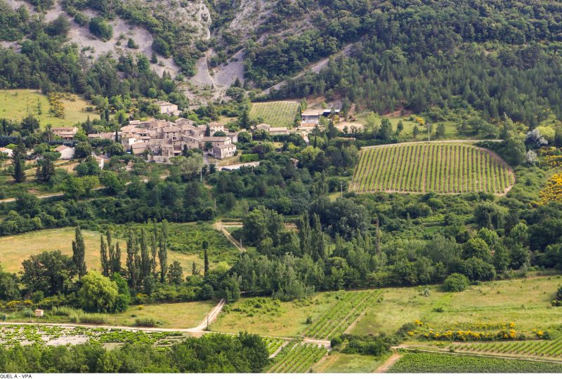 GR® de Pays: Around the Ventoux Massif – Circular hike in the foothills of Mont Ventoux à Malaucène - 7