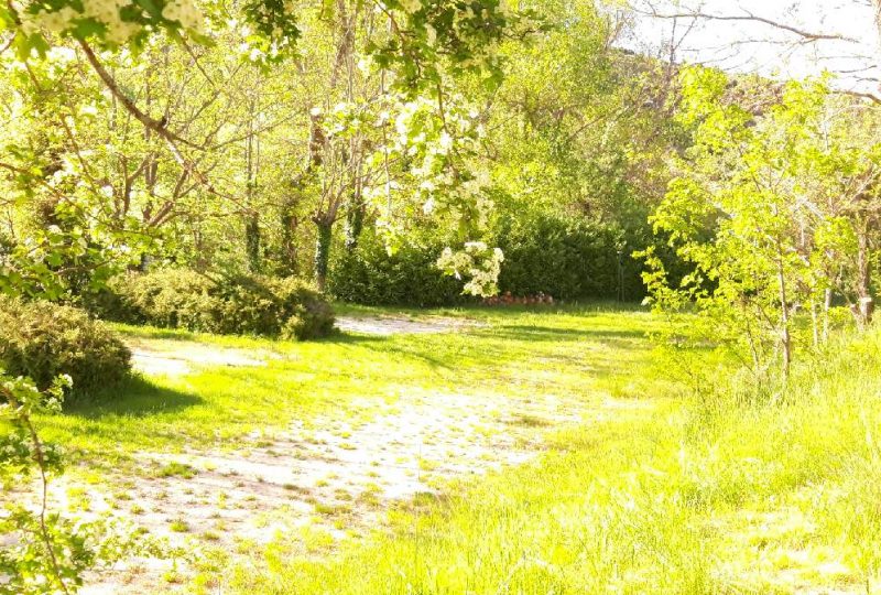 Le Pré des Arbres à Montbrun-les-Bains - 0