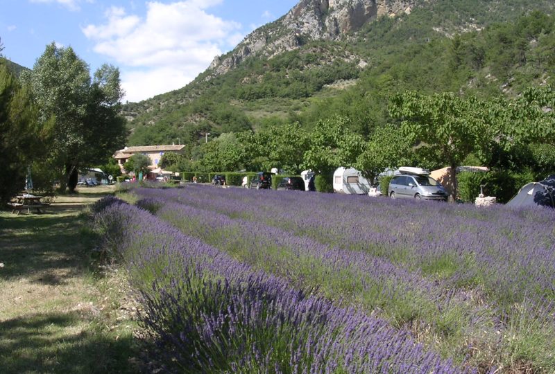 Le Pilat à Saint-Ferréol-Trente-Pas - 1