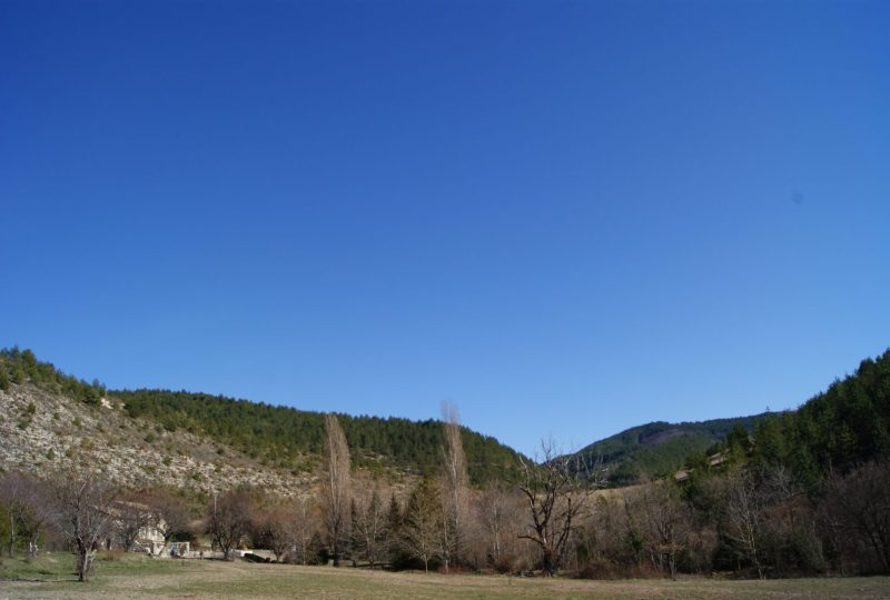 Chez Fritz et Pippa à La Roche-sur-le-Buis - 1