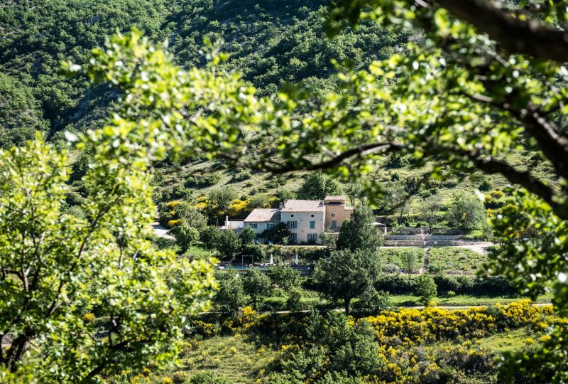 Domaine de la Done – Gîte Figuier à Montbrun-les-Bains - 0