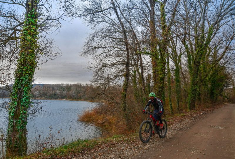 Le tour des îles du Rhône à Châteauneuf-du-Rhône - 2