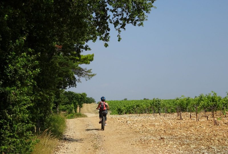 Tour de pays VTT des Baronnies en Drôme provençale à Nyons - 1