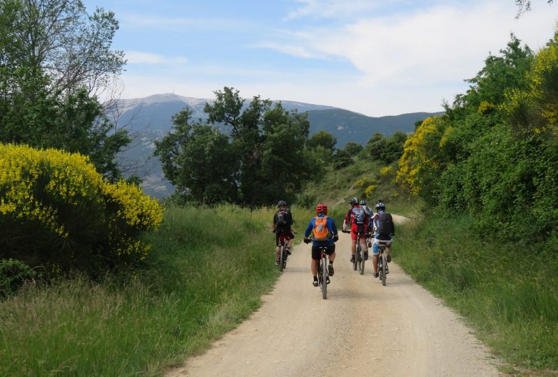 Tour de pays VTT des Baronnies en Drôme provençale à Nyons - 2