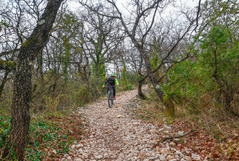 La Montagne – Variante noire à Sauzet - 0