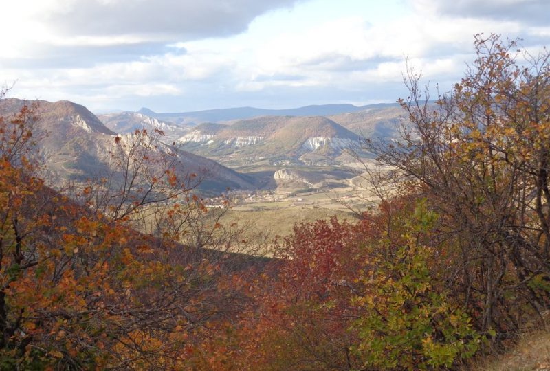 Montagne d’Albion et la forêt du Tay à Séderon - 0