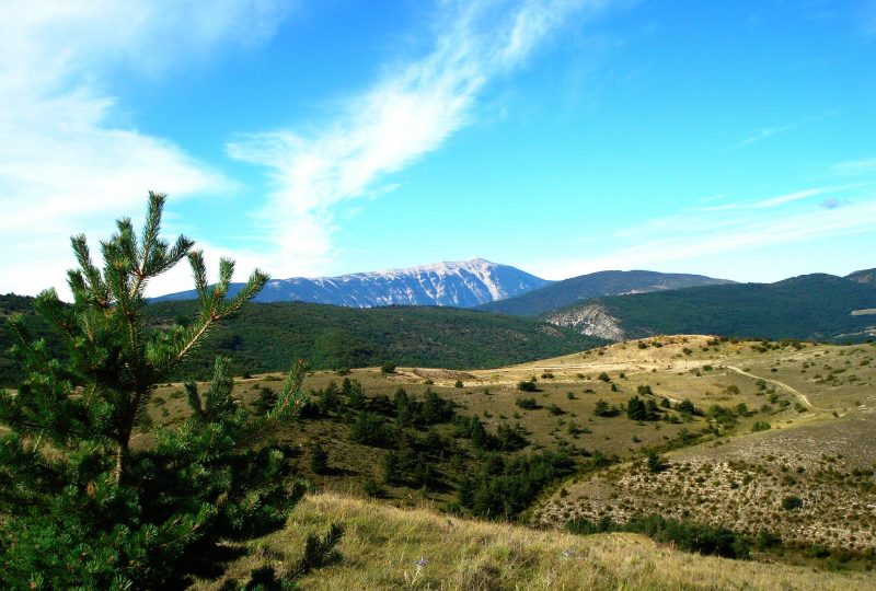 Montagne de Buc depuis Mévouillon à Mévouillon - 0