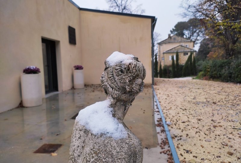 Week-end Truffes et Vins au Château Montplaisir à Valréas - 7