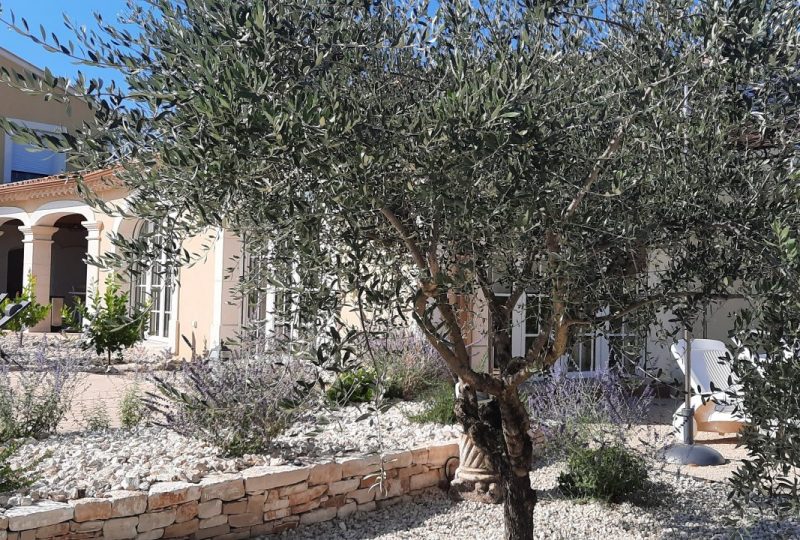 L’échappée en Provence : MontMirail à Rochegude - 0