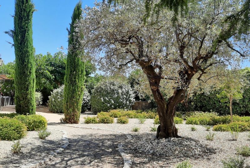 L’échappée en Provence : MontMirail à Rochegude - 1