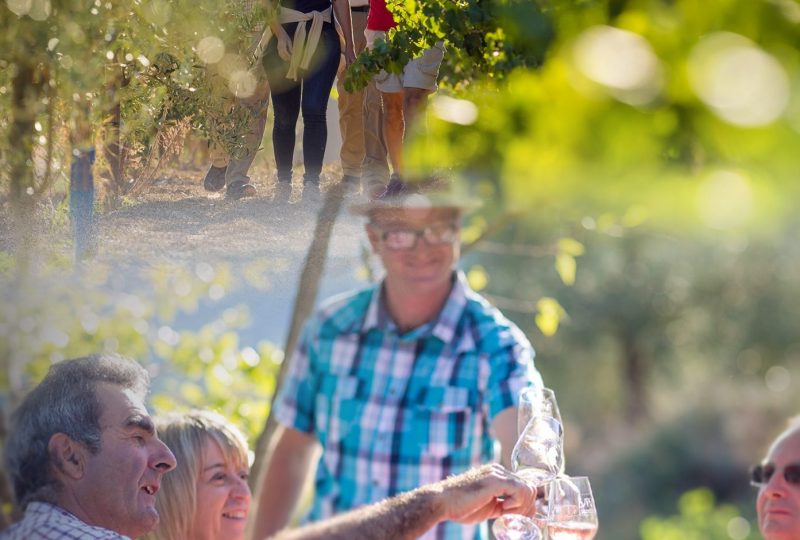 Rando apéro chez l’unique vigneron indépendant  de nyons à Nyons - 0