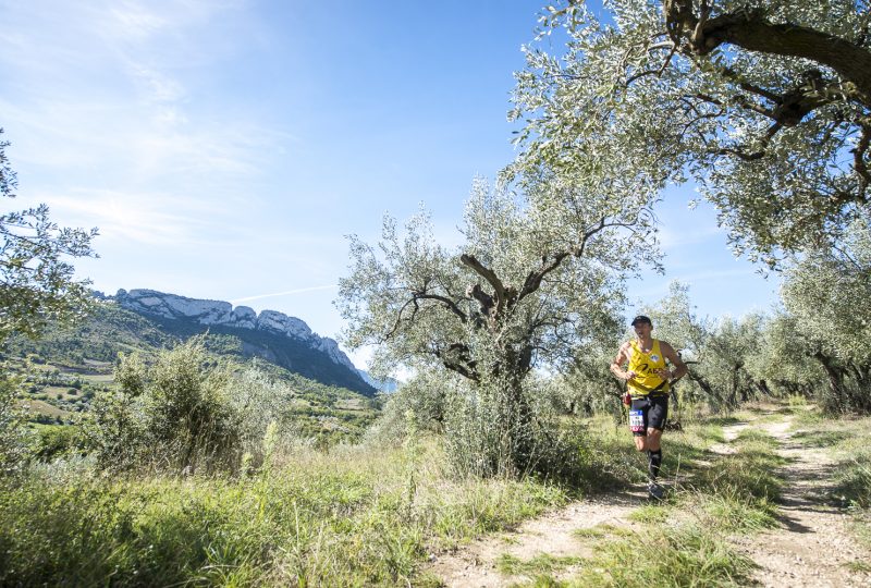 Trail park of the Baronnies in Drôme Provençale à Nyons - 1