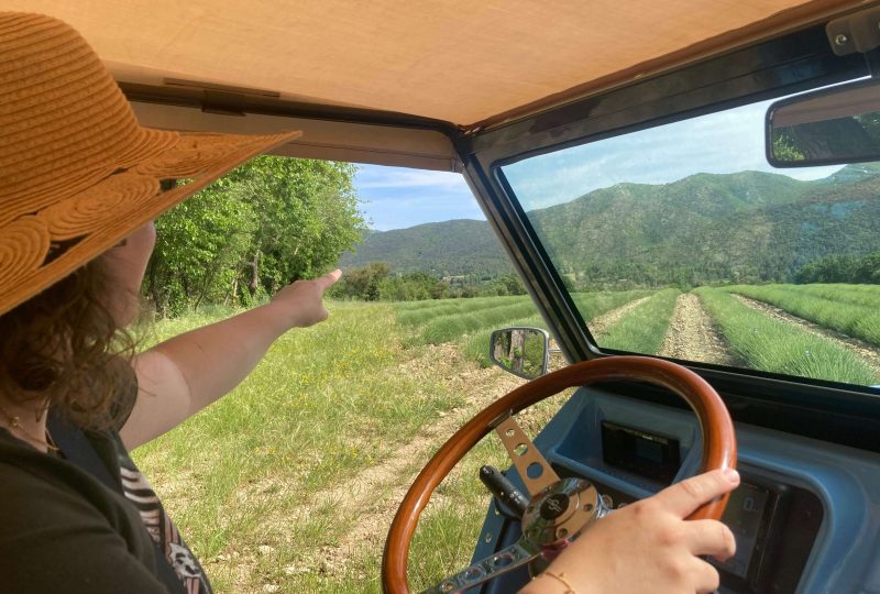 La Dolce Vita entre vignes et lavande à Montélimar - 0