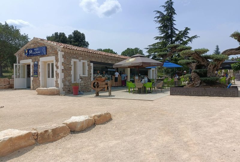 Maison de la Lavande Ardèche / Producer-Distiller & Museum à Saint-Remèze - 12