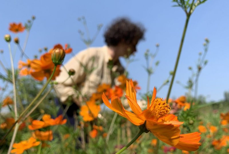 Les Fleurs du Grillon à Grillon - 1