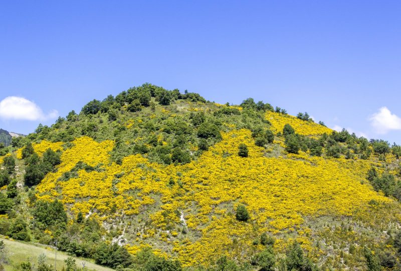 Le col de Lauzat à Saint-Nazaire-le-Désert - 2