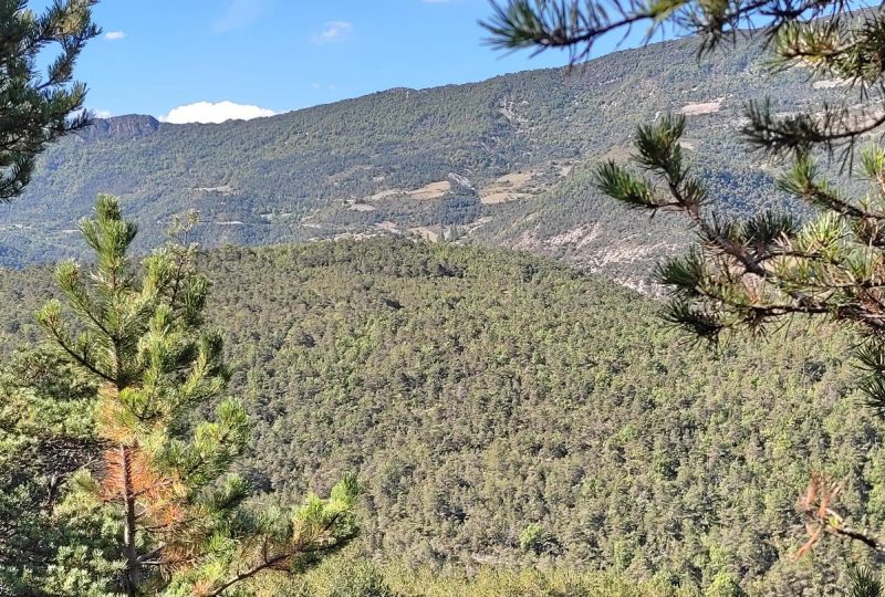 Le col de Lauzat à Saint-Nazaire-le-Désert - 6