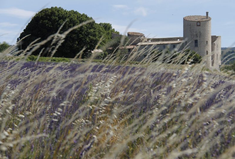 Le Château de la Gabelle à Ferrassières - 0