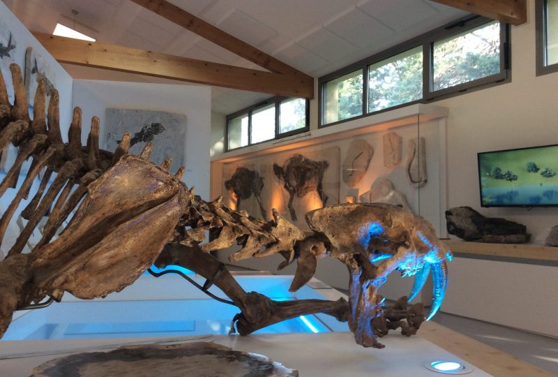 Natural history museum of Ardèche : fossils and dinosaurs à Balazuc - 0