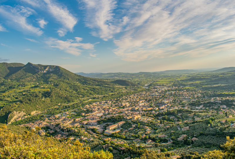 Plants & Wellness : Nyons / Buis-les-Baronnies à Buis-les-Baronnies - 1