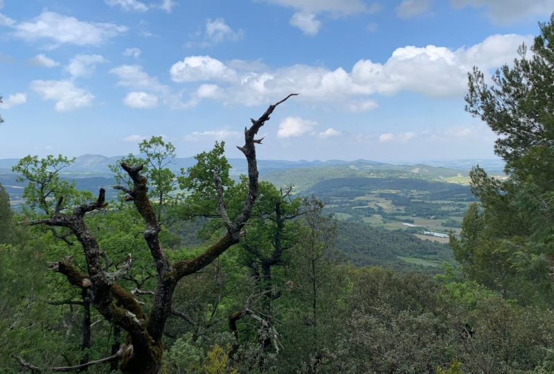 MOLLANS-SUR-OUVEZE – Baume des Eyguiers à Mollans-sur-Ouvèze - 2