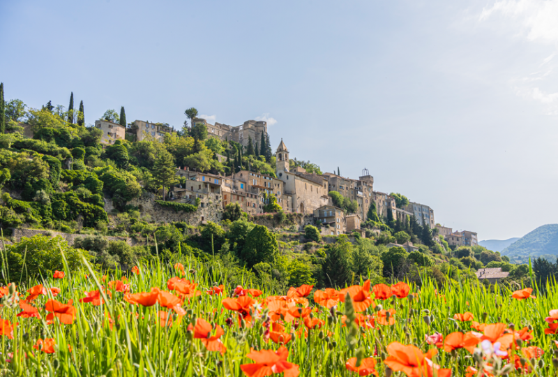 Plants & Wellness : Buis-les-Baronnies / Montbrun-les-Bains à Buis-les-Baronnies - 0