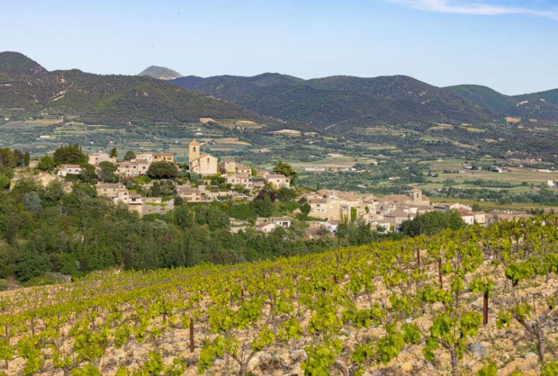 Coups de pédales dans les vignobles à Nyons - 3