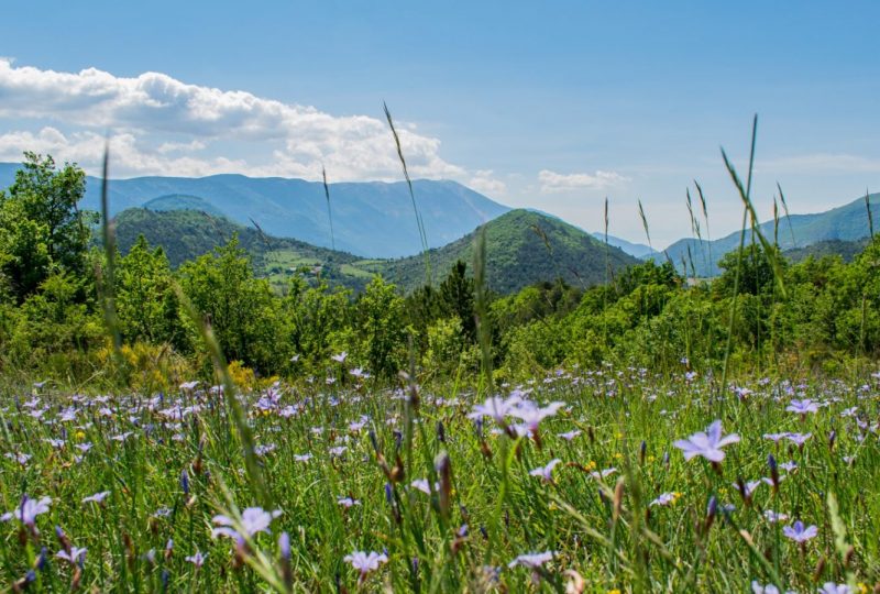 Le P’tit Sportif à Montbrun-les-Bains - 5