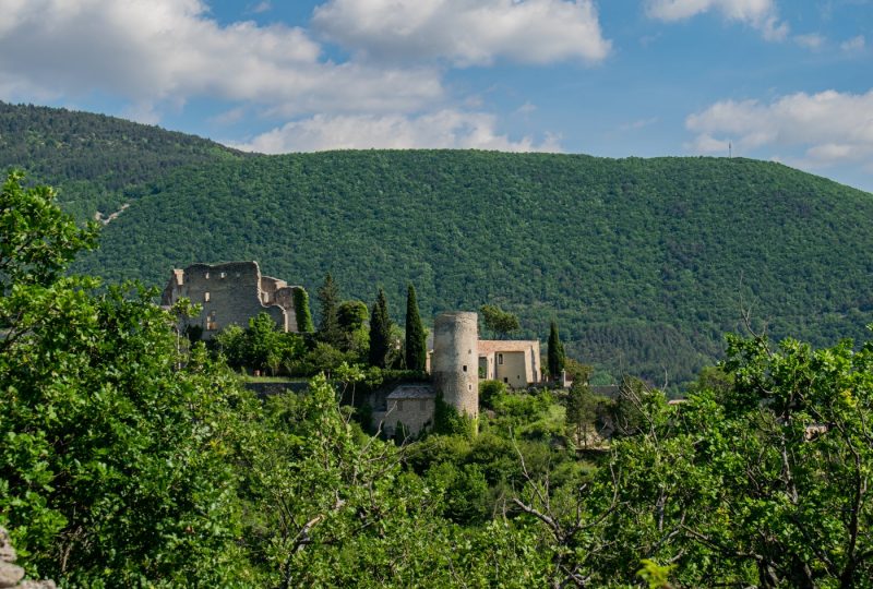 Le P’tit Sportif à Montbrun-les-Bains - 6