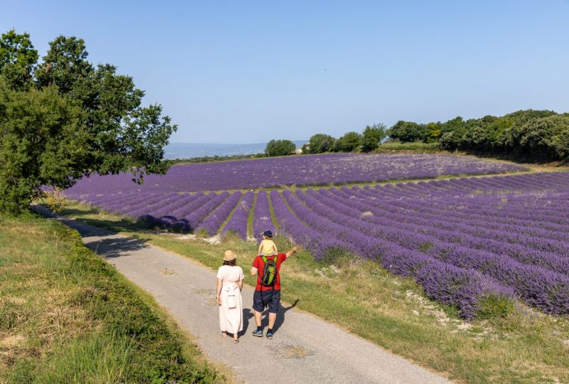 Les secrets de la Drôme Provençale à pied – Drôme Sud Provence à Pierrelatte - 0