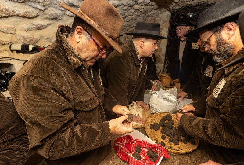 Journée truffes noires à Saint-Paul-Trois-Châteaux à Saint-Paul-Trois-Châteaux - 1