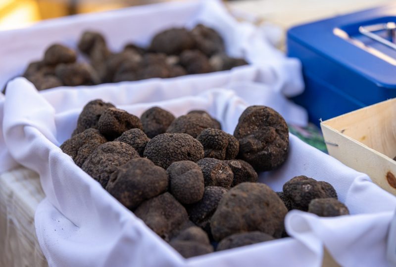 Journée truffes noires à Saint-Paul-Trois-Châteaux à Saint-Paul-Trois-Châteaux - 2