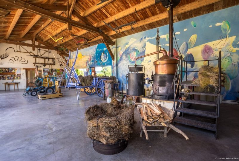 Maison de la Lavande Ardèche / Producer-Distiller & Museum à Saint-Remèze - 10