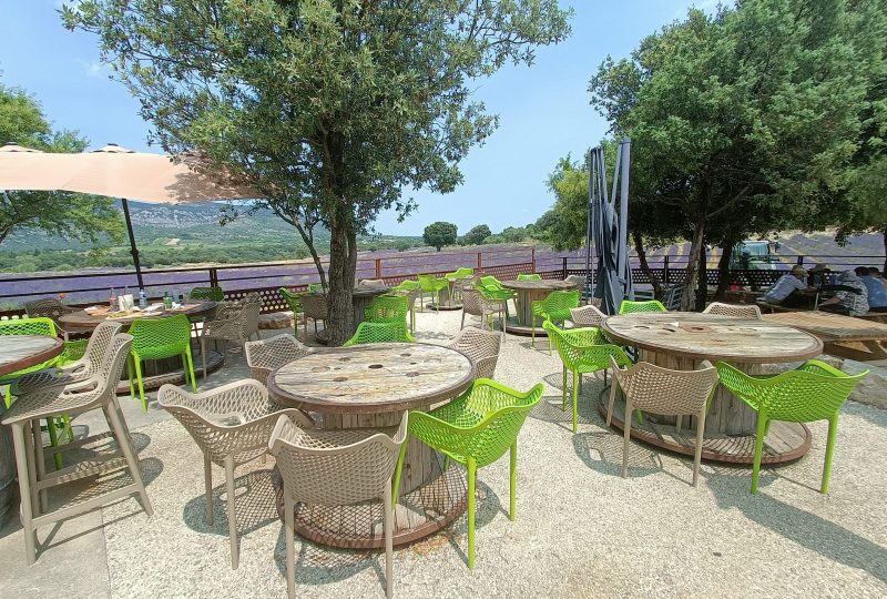 Maison de la Lavande Ardèche / Producer-Distiller & Museum à Saint-Remèze - 13