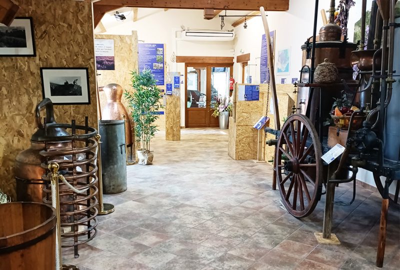 Maison de la Lavande Ardèche / Producer-Distiller & Museum à Saint-Remèze - 16