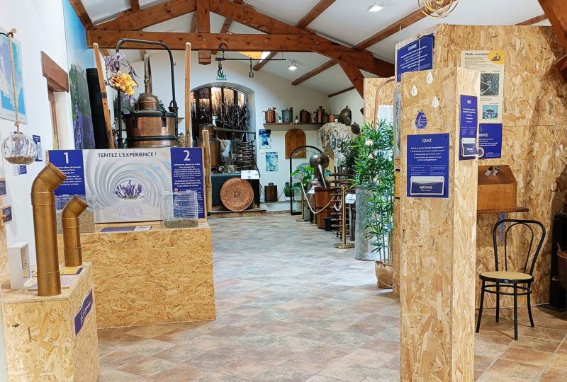 Maison de la Lavande Ardèche / Producer-Distiller & Museum à Saint-Remèze - 17