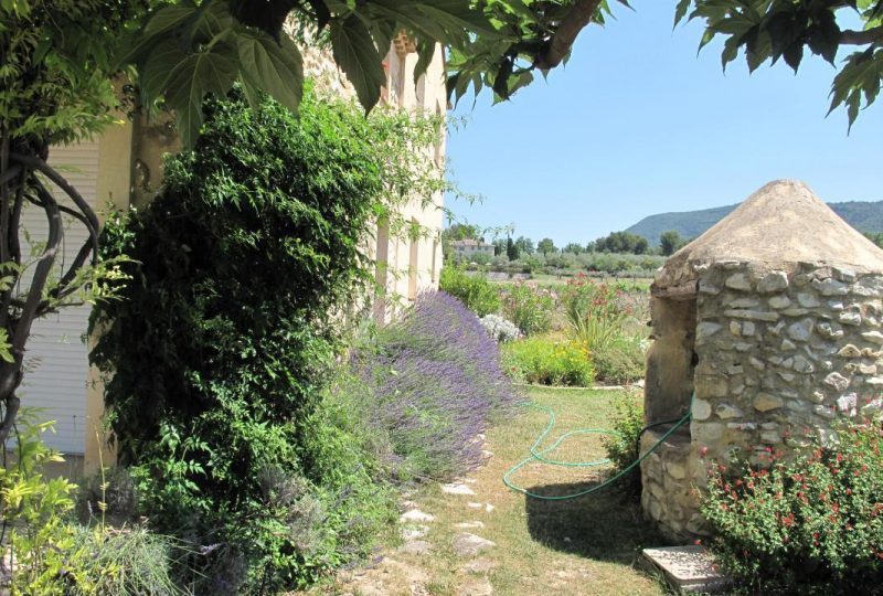 Les Rizannes à Mirabel-aux-Baronnies - 1