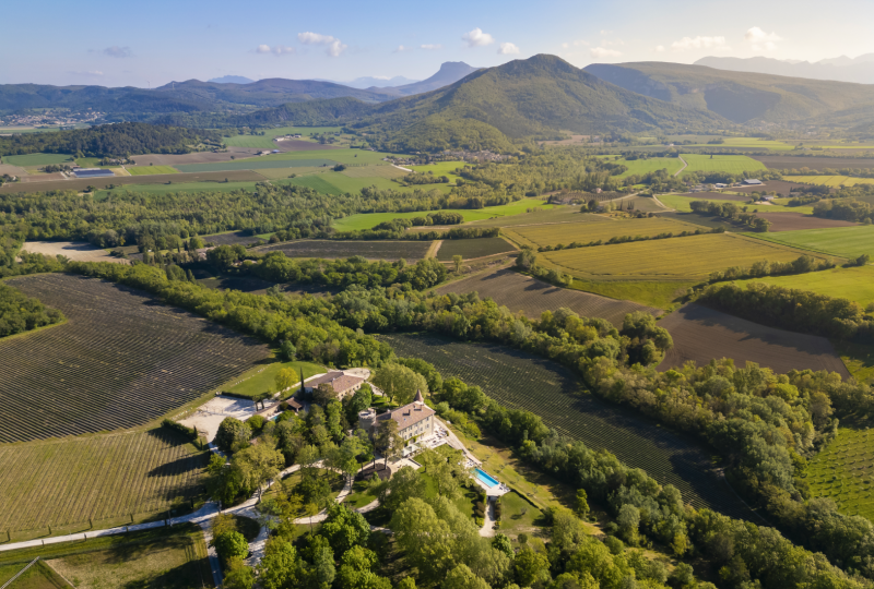 Lavandin – Château Les Oliviers de Salettes à Charols - 1