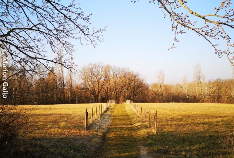 Les Châtelards à La Bégude-de-Mazenc - 2