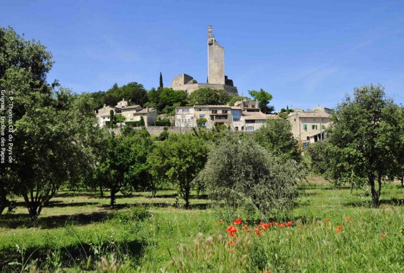 Sentier VTT De Tour en Grotte – 2 à Grignan - 1