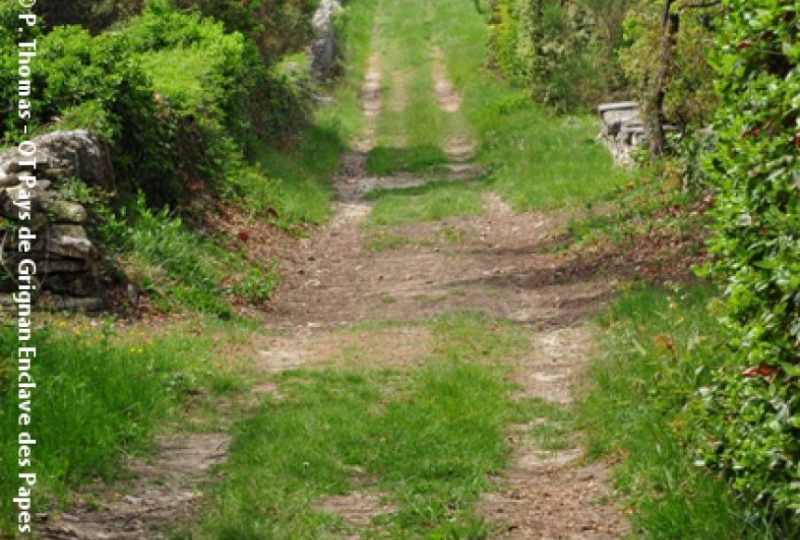 Sentier VTT La Croisée des Chemins – 9 à Chamaret - 4