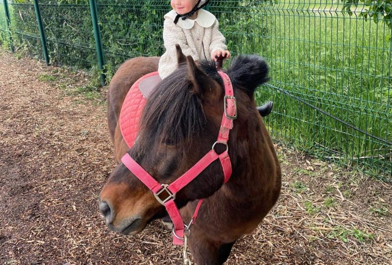 Farm: Au bonheur des animaux à La Garde-Adhémar - 9