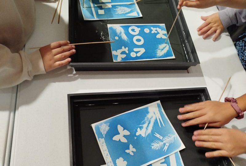 Visites guidées et Ateliers cyanotypes au Musée d’Art Contemporain à Montélimar - 0