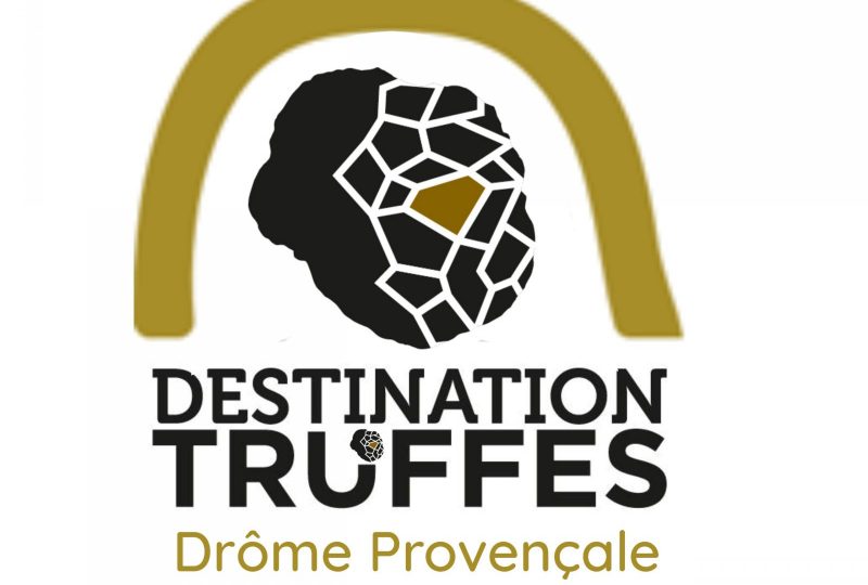 Les artisans de la truffe noire à Suze-la-Rousse - 0